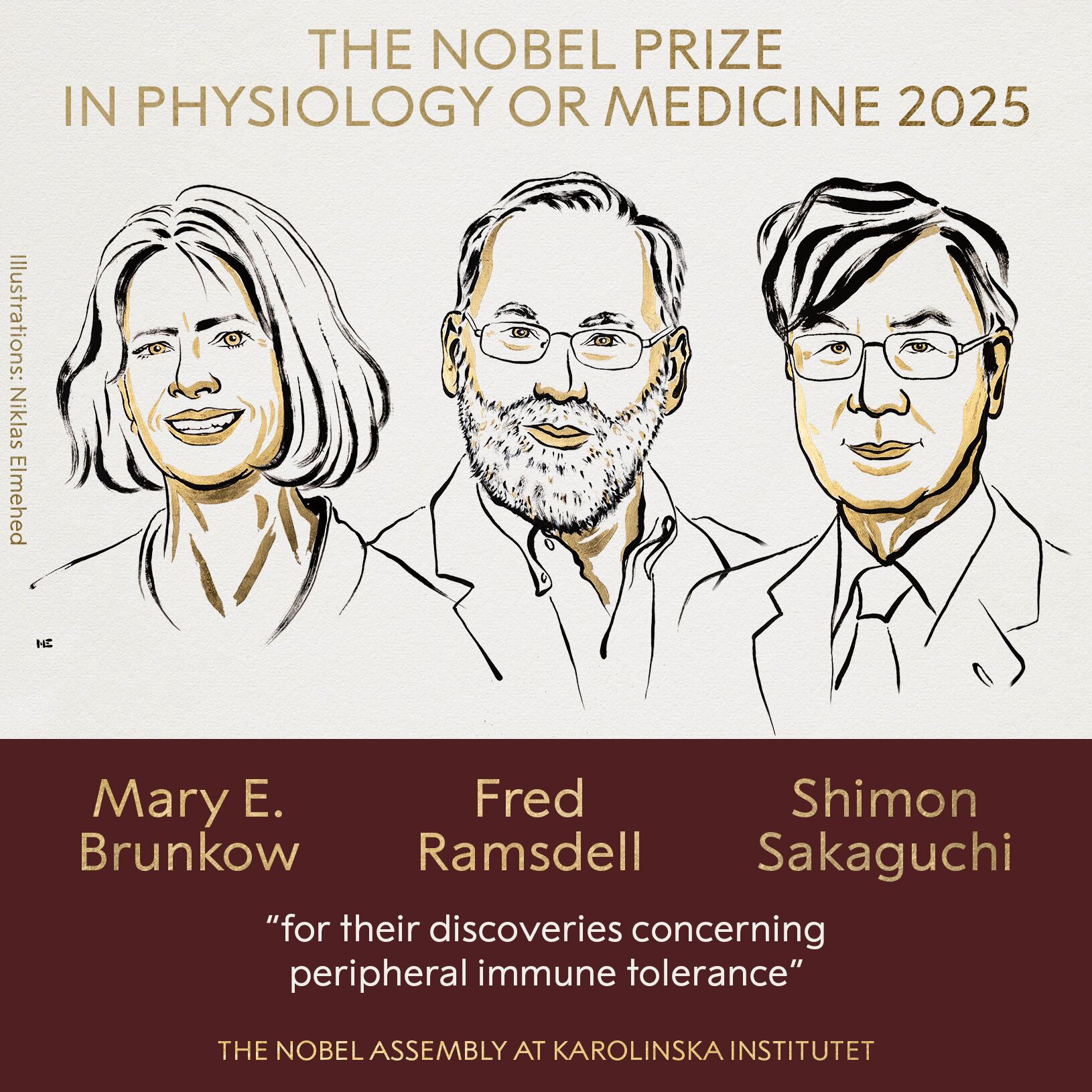 Mary Brunkow, Fred Ramsdell y Shimon Sakaguchi ganaron conjuntamente el Premio Nobel de Medicina por sus descubrimientos sobre la tolerancia inmunitaria periférica. Foto tomada del perfil de X @NobelPrize