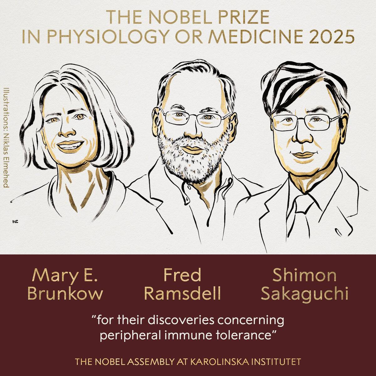 Tres científicos ganan Premio Nobel de Medicina por revolucionar el estudio del sistema inmunológo