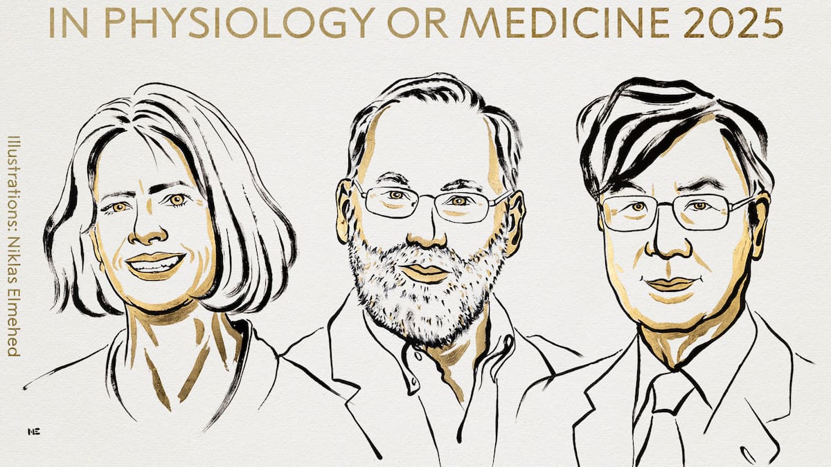 Tres científicos ganan Premio Nobel de Medicina por revolucionar el estudio del sistema inmunológo