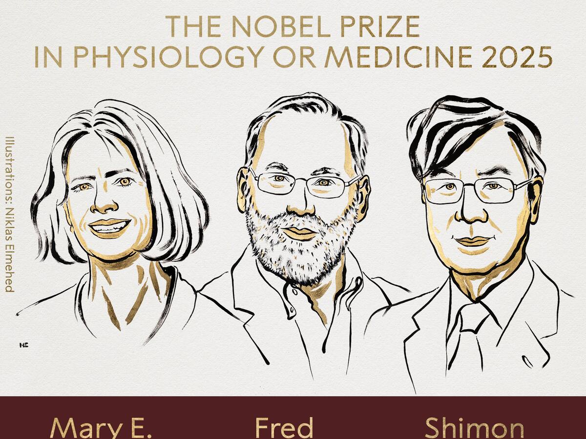 Tres científicos ganan Premio Nobel de Medicina por revolucionar el estudio del sistema inmunológo