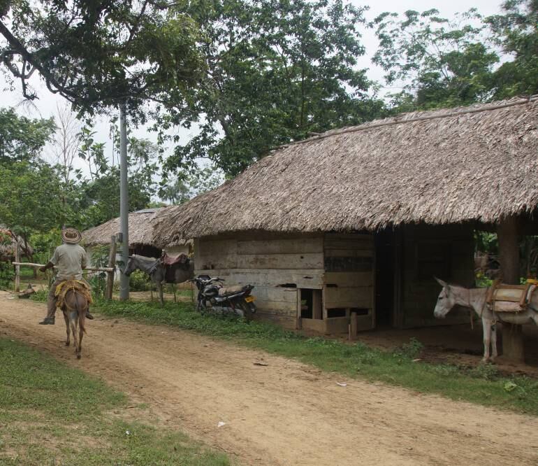 Región de Urabá en Antioquia. 