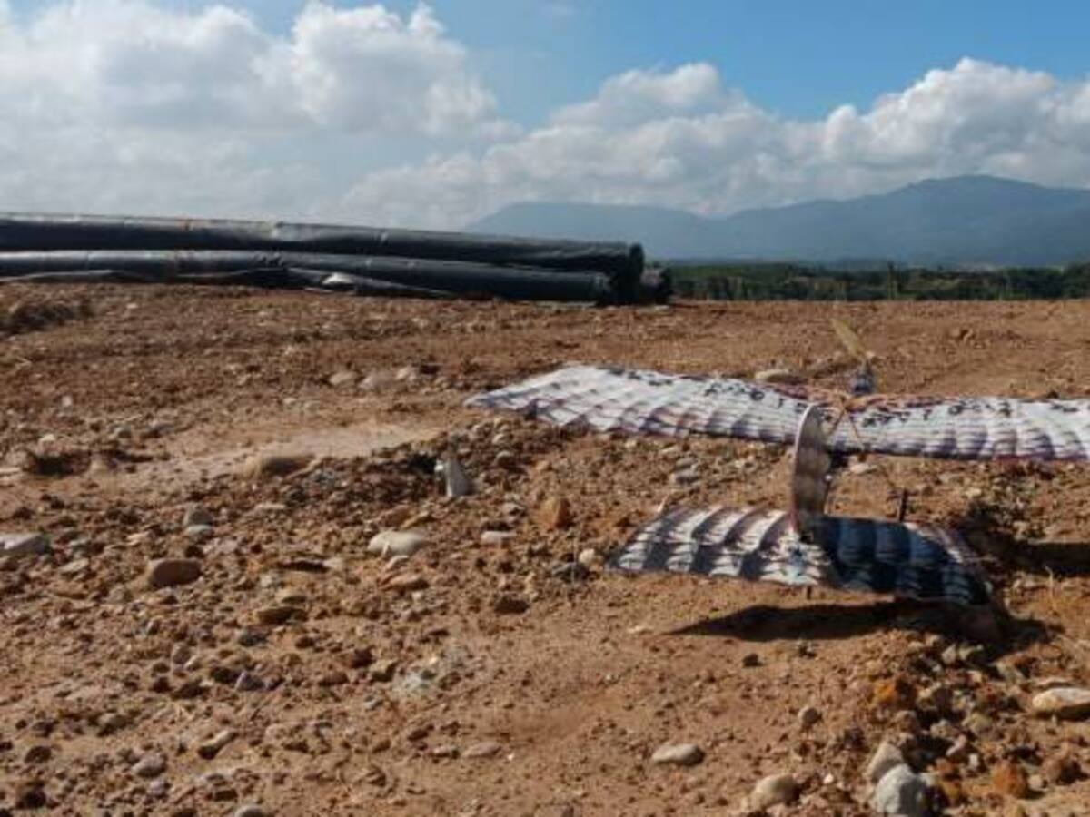 El aeromodelo en forma de águila para control de gallinazos
