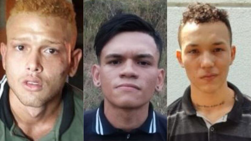 Capturados en Cúcuta.