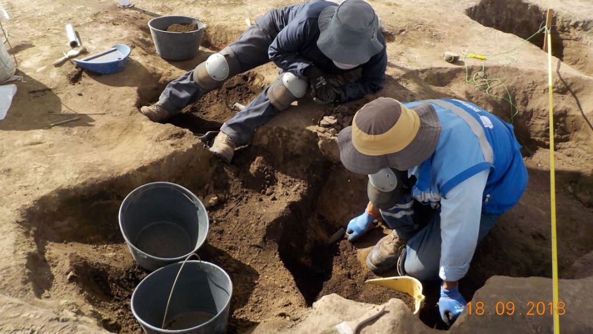 En menos de 8 meses estaría en servicio el Museo Arqueológico Nueva Esperanza