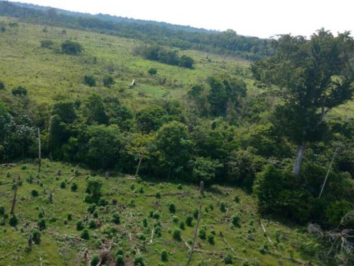 Gobierno reconoce dificultades de erradicación en el Catatumbo