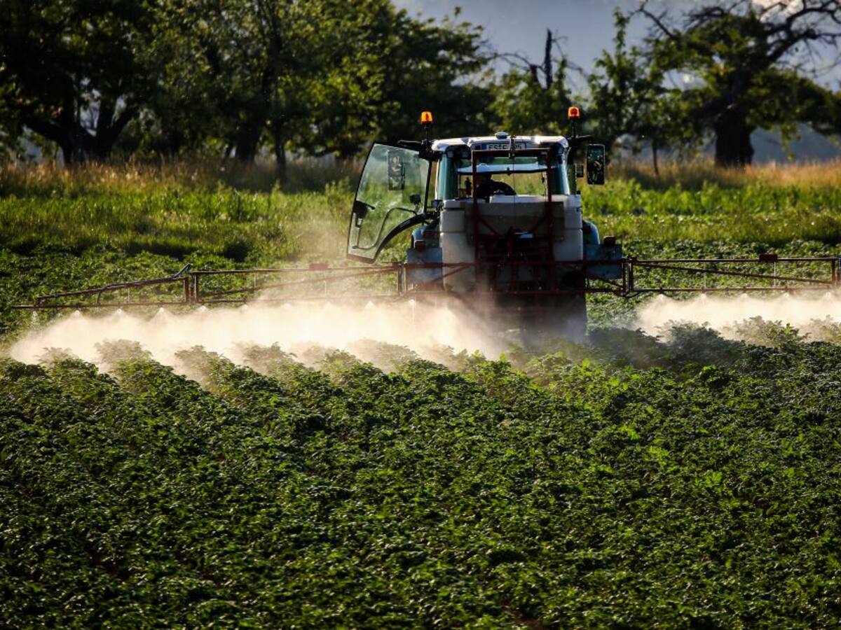 Dura crítica de Daniel Samper a quienes defienden la aspersión de glifosato