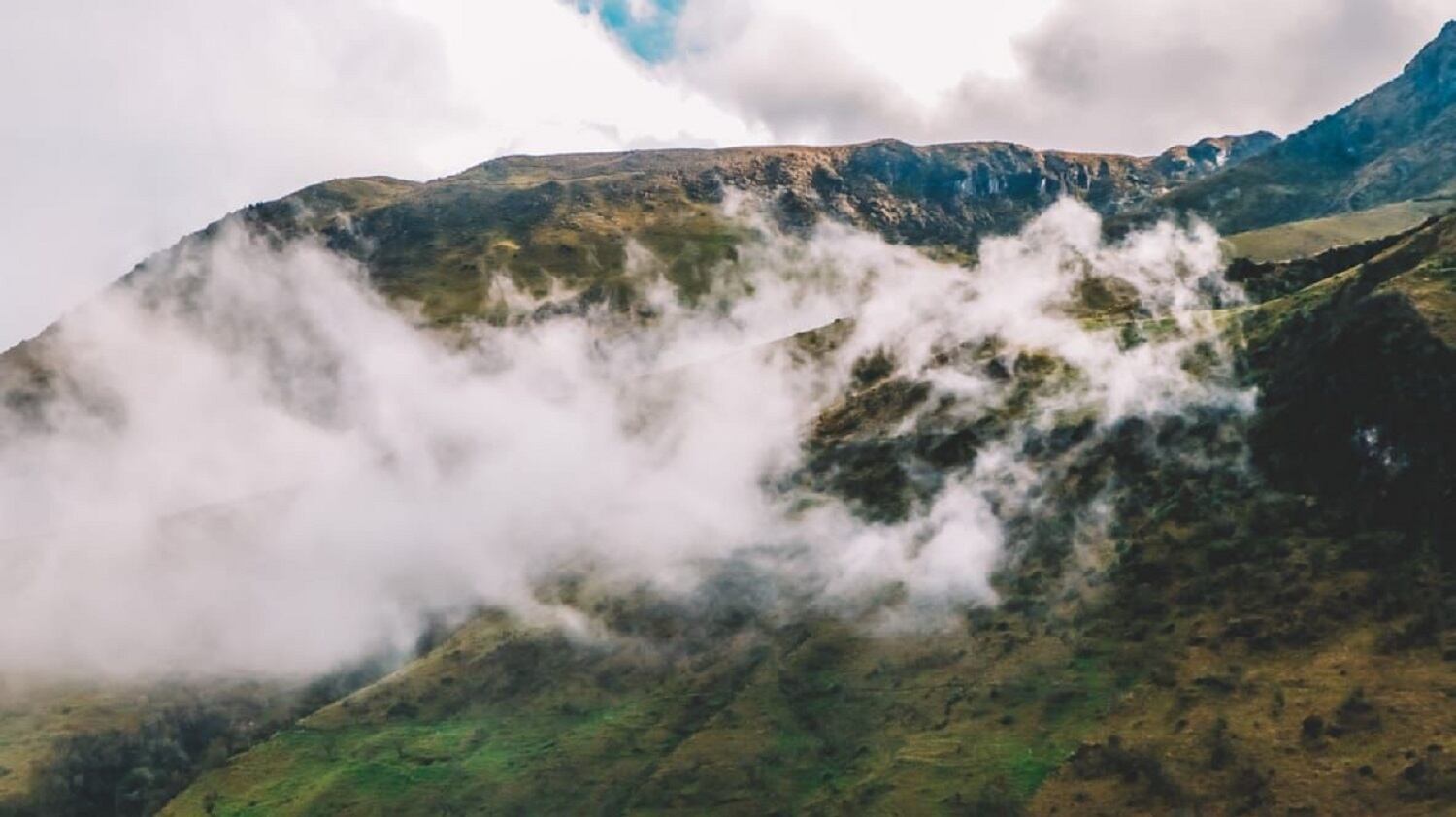 Crédito: Suministrada.