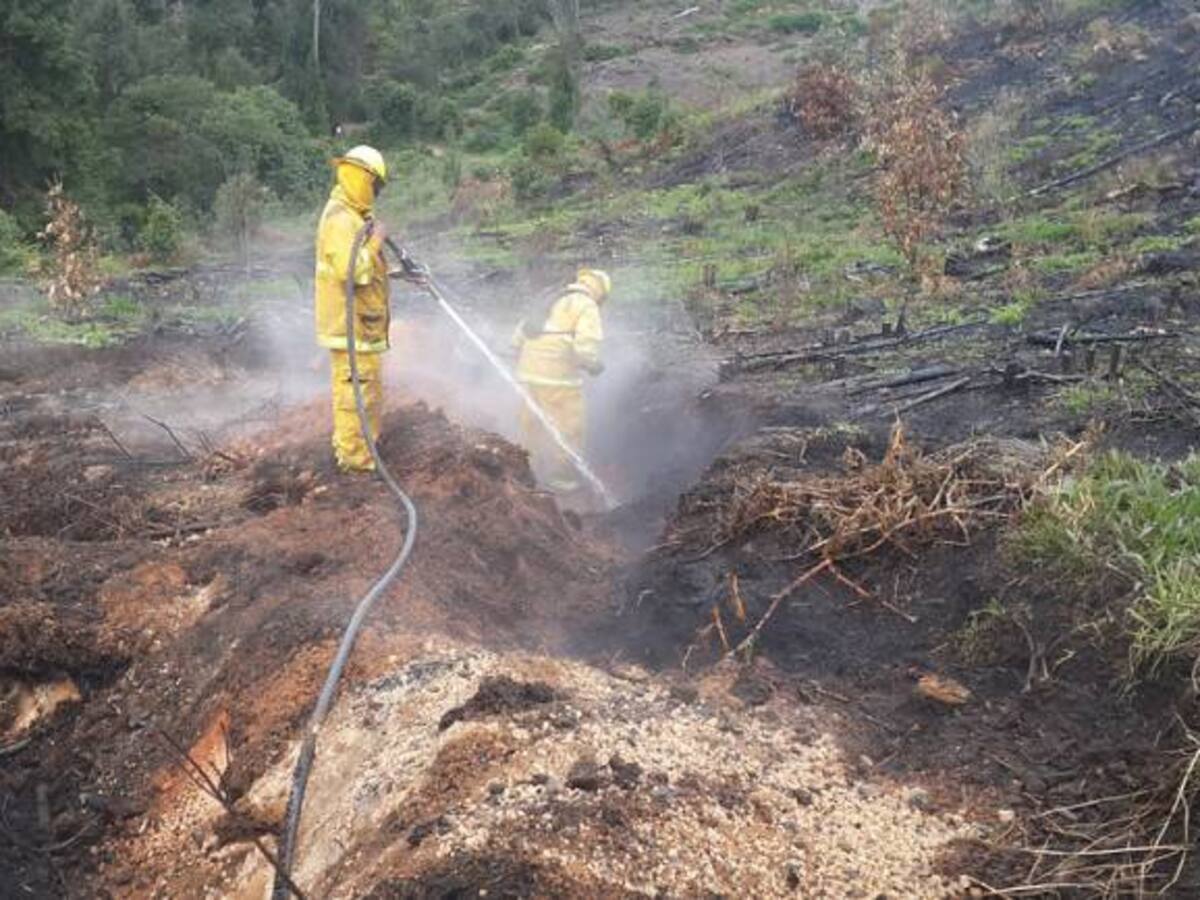 Se mantiene alerta máxima por incendios en Cundinamarca