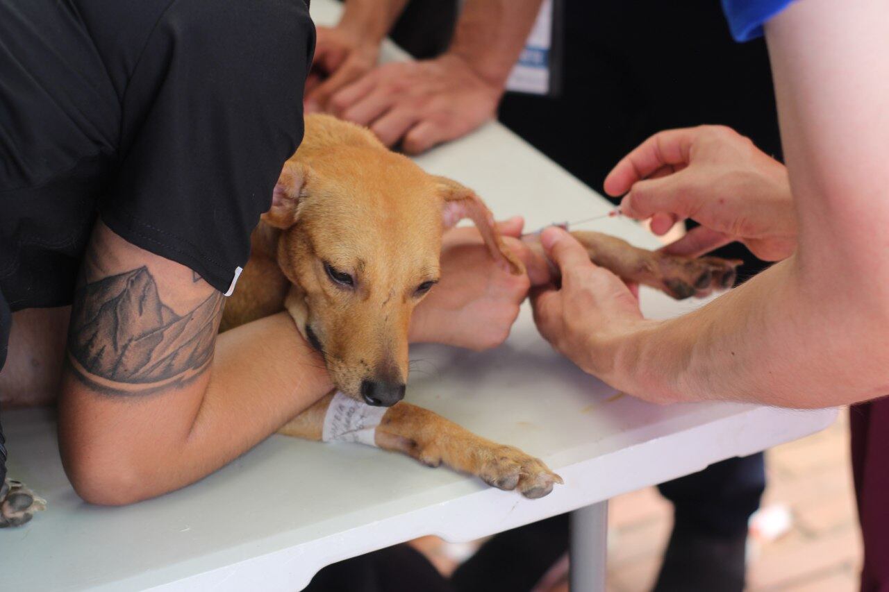 Alcaldía de Cartagena