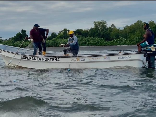 La verdad sobre la pesca incidental en el pacífico colombiano