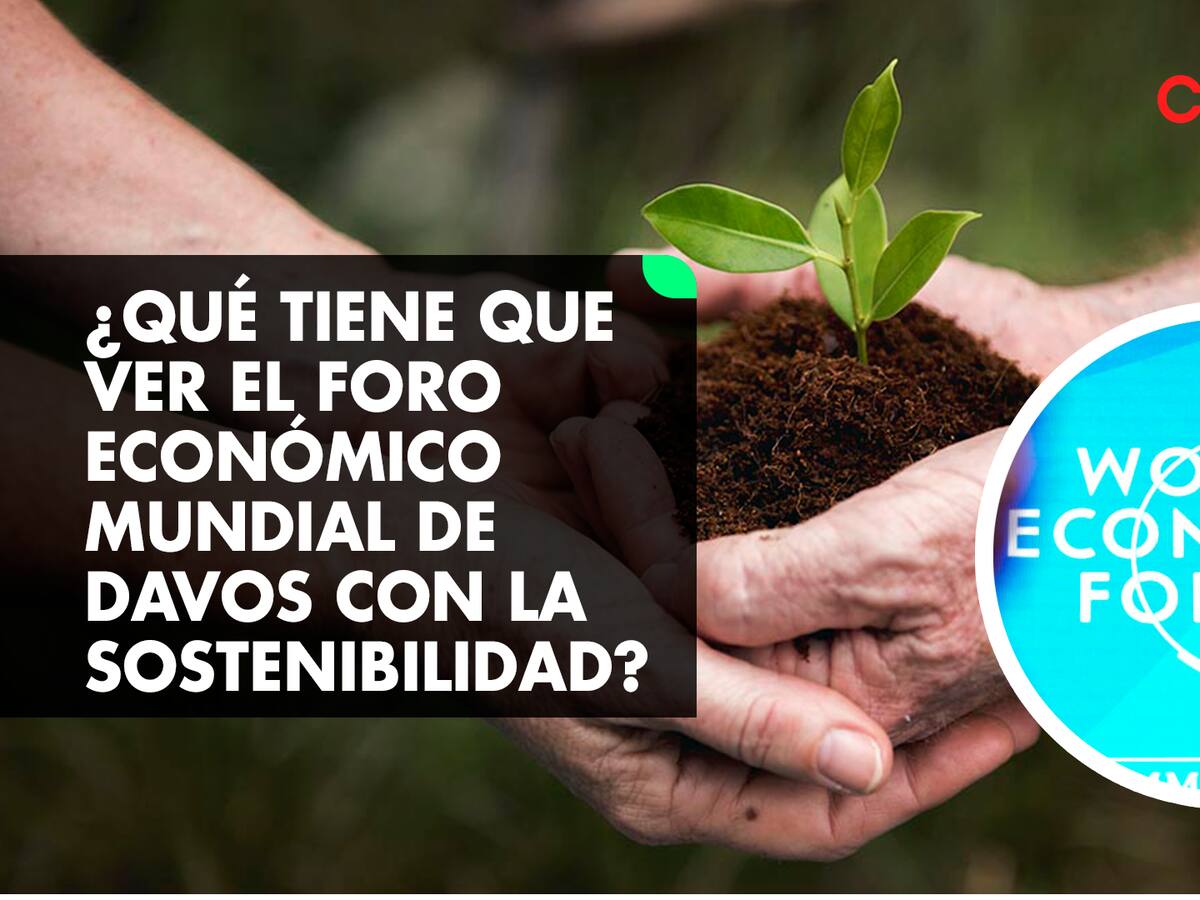 ¿Qué tiene que ver el Foro Económico Mundial de Davos con la sostenibilidad?