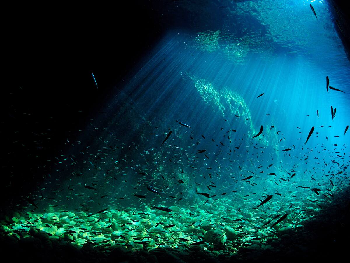 Científicos descubren oxígeno oscuro en el fondo del océano: más detalles de este fenómeno