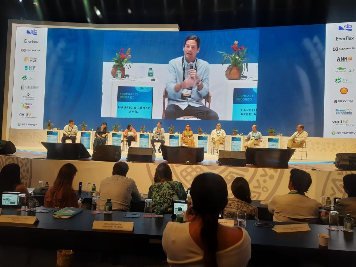 Congresistas pidieron trabajar por la soberanía energética y producción interna de gas