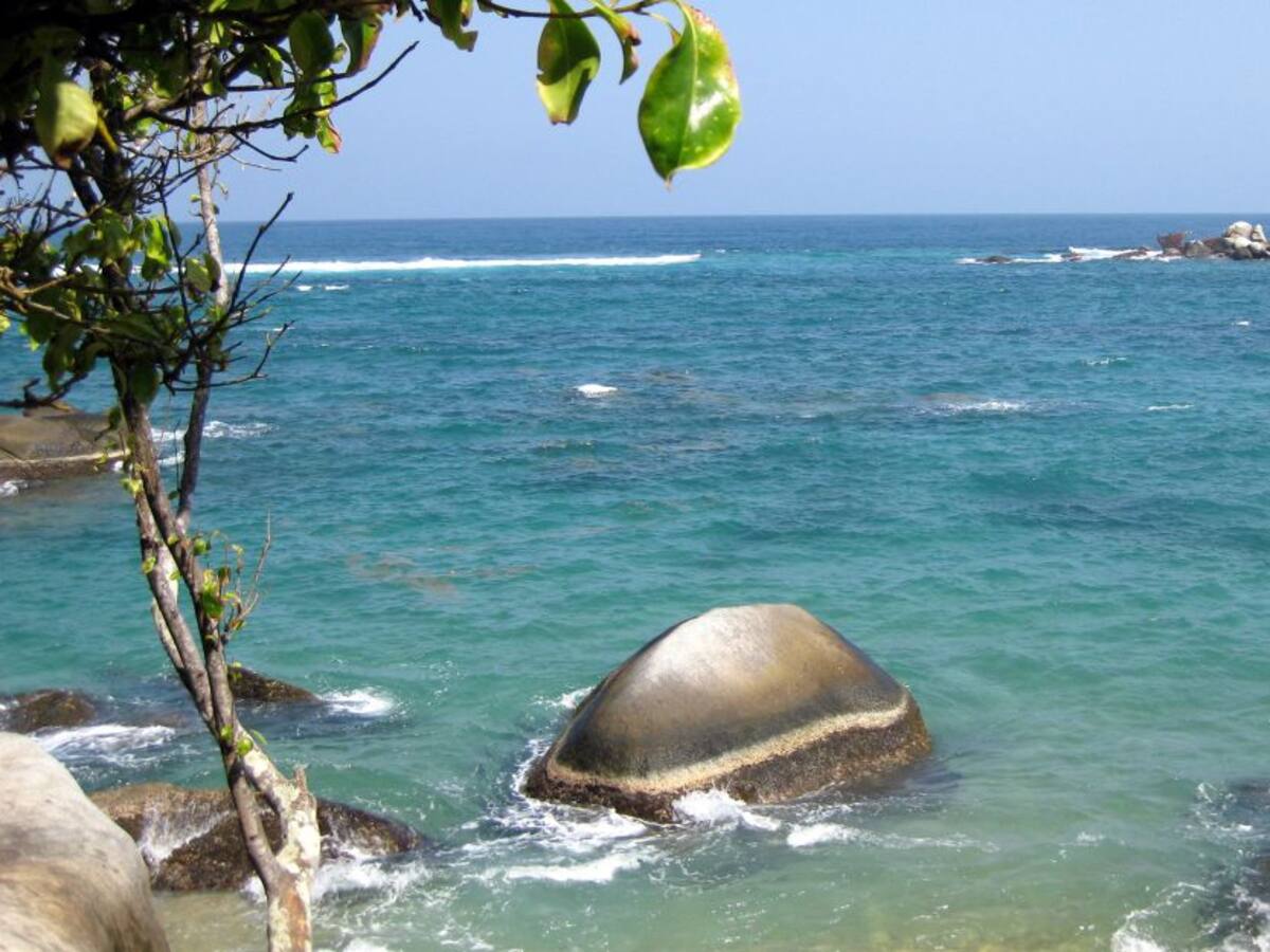 Por cuarentena, la bahía de Santa Marta vuelve a ser 'la más linda'