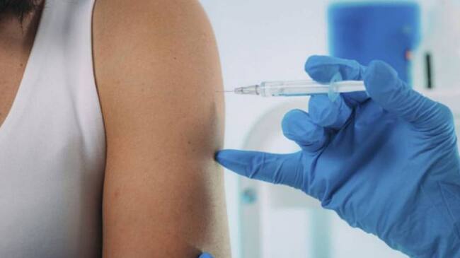 Imagen de referencia.