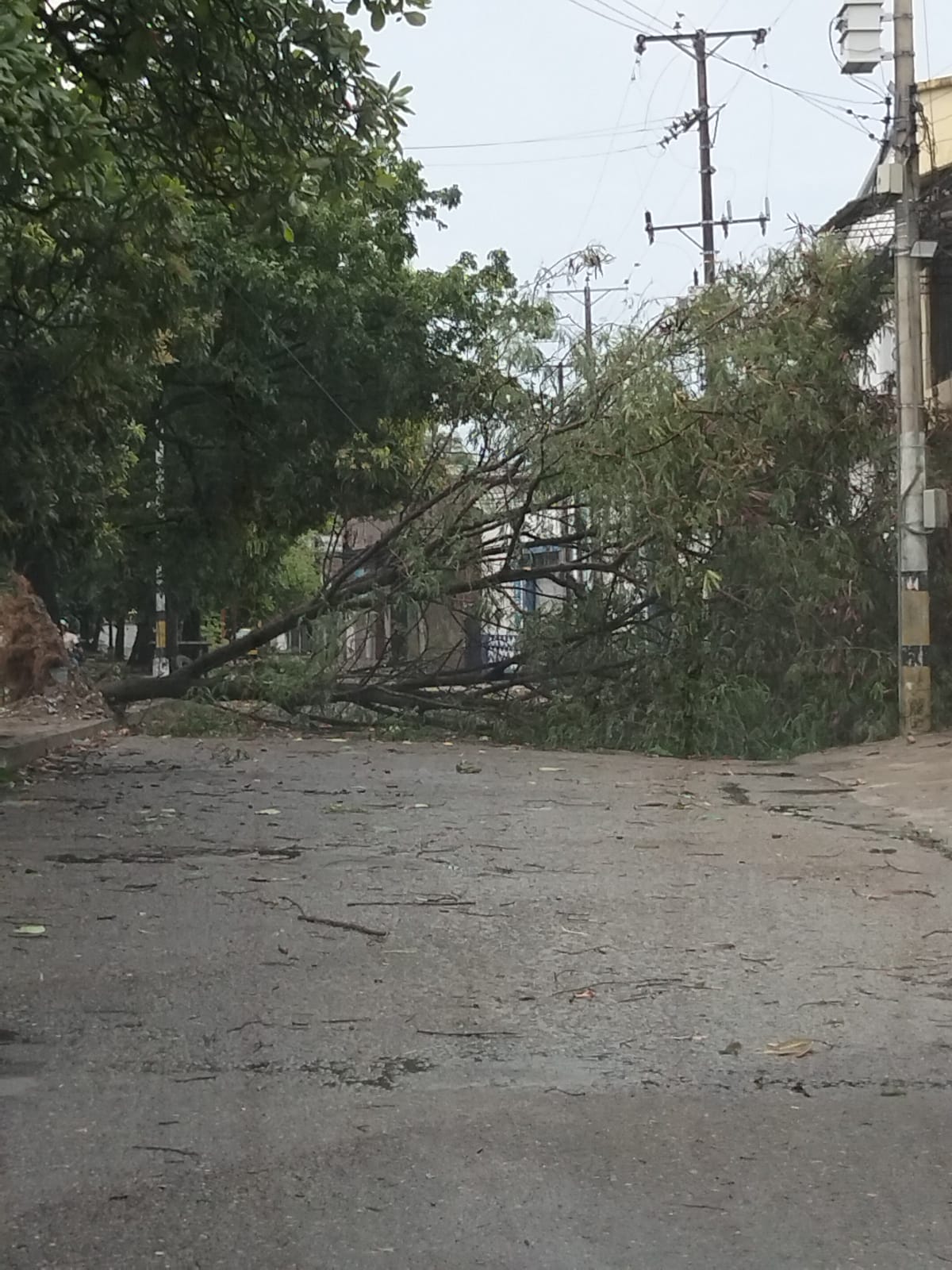 Fue la caída del techo en un centro comercial ubicado en el sur de Neiva.  Foto Redes Sociales.