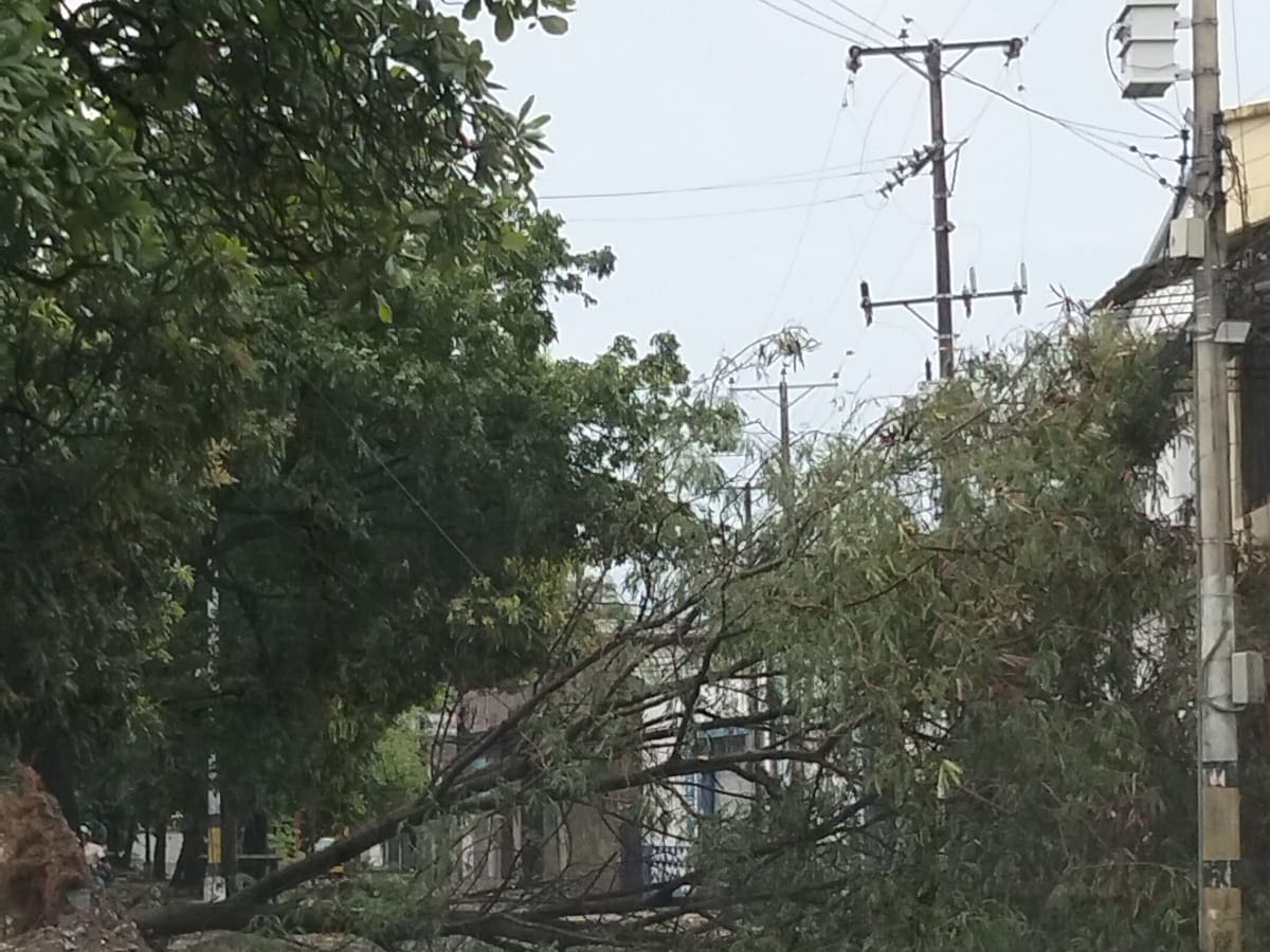 Fuerte borrasca en Neiva deja viviendas destechadas, vías inundadas y caída de árboles