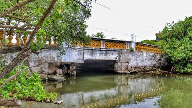 Puente Las Palmas