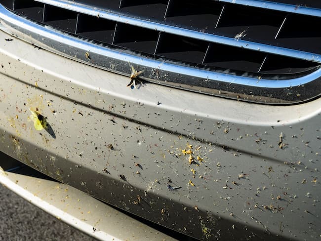 Truco para eliminar los insector del carro. Foto: Getty Images