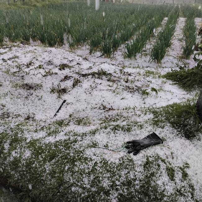 Heladas en Santander