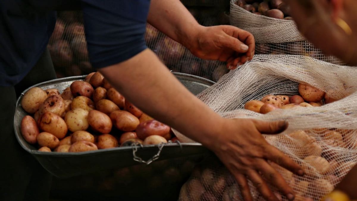"El costo de la papa subió un 100 %, hay desabastecimiento": Comerciante