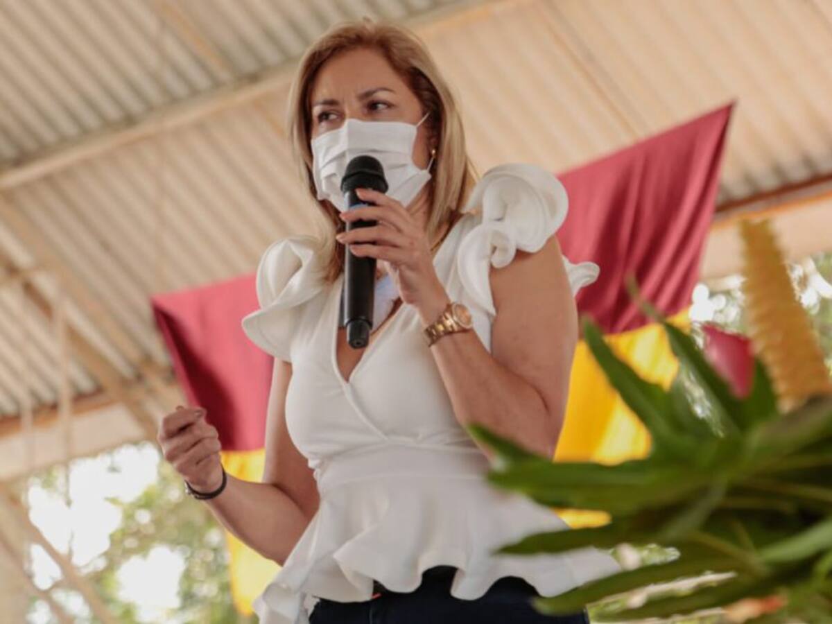 “El abastecimiento hídrico de Ibagué está en riesgo”, directora Cortolima