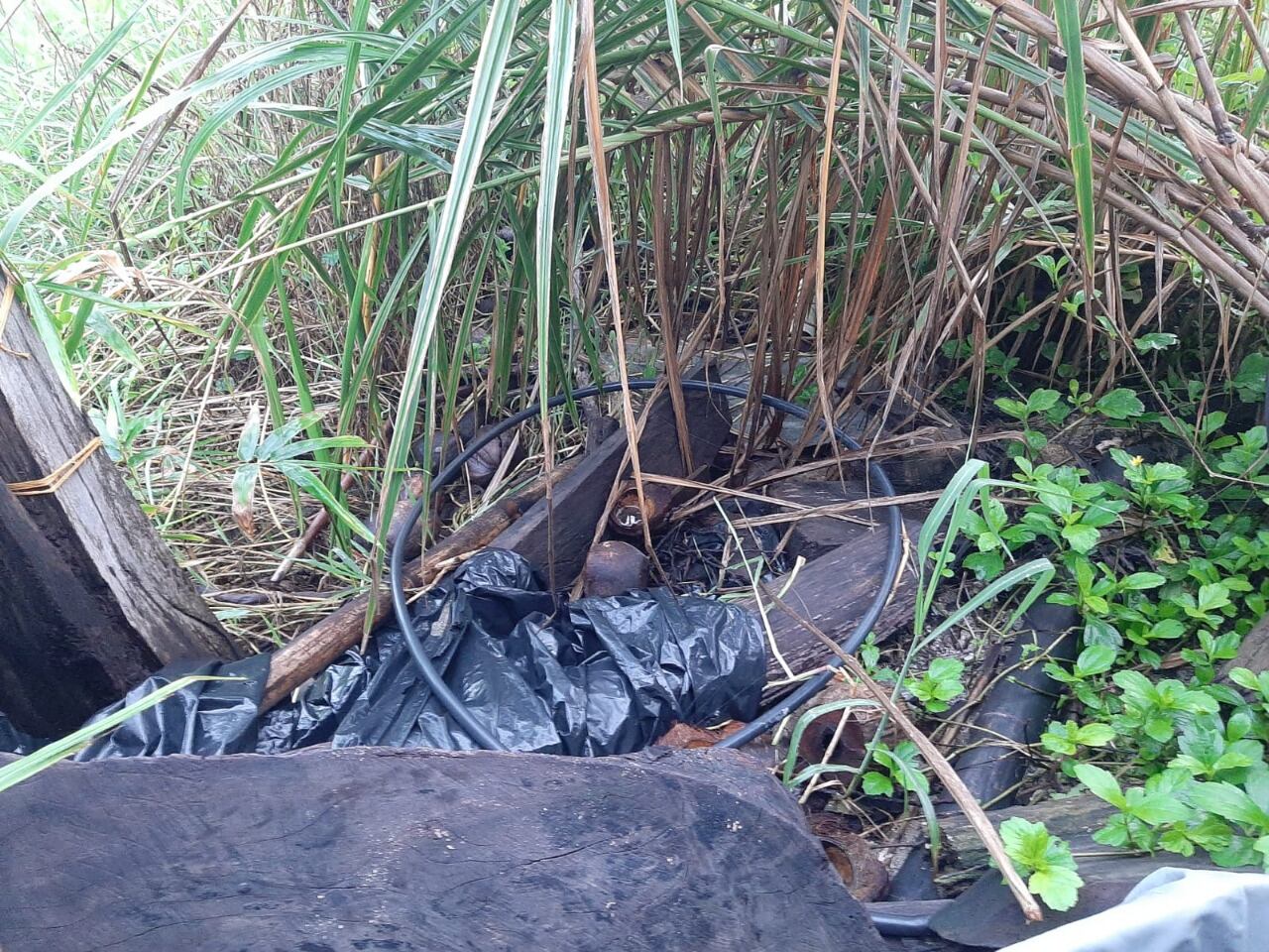 Invasión en Parque Tayrona. Foto: Cortesía Yamile Gómez Preciado.