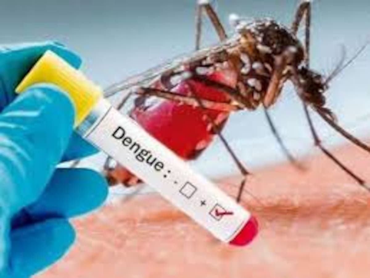 Desde hace 14 años el Quindío no tenia tantos casos de dengue, en total 5428 confirmados