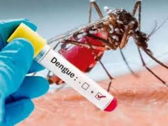 Ana Cecilia López, epidemióloga de la secretaría de salud del Quindío