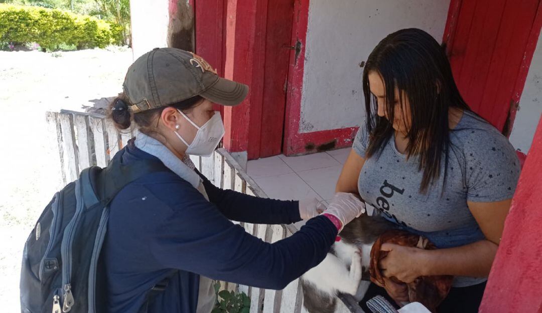 Autoridades de salud hacen seguimiento a casos de rabia humana.