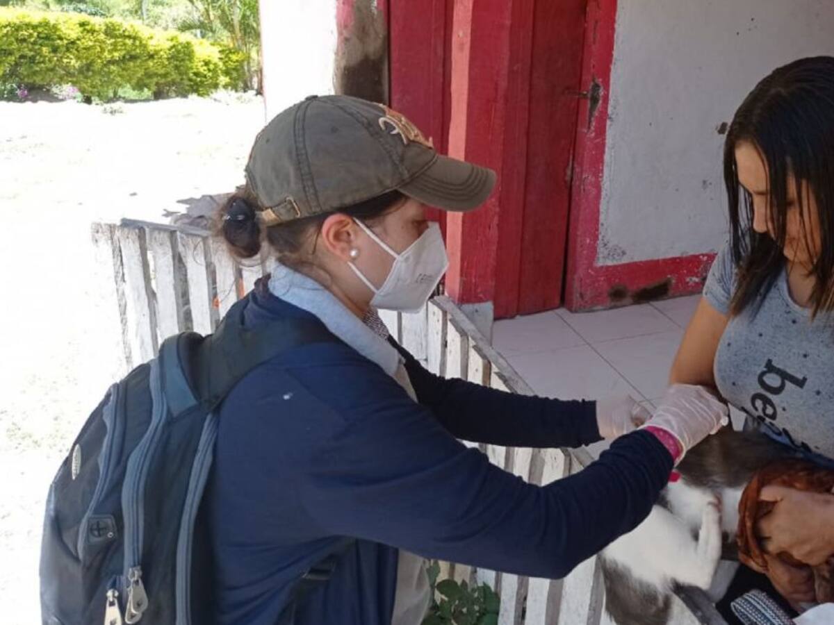 Autoridades de salud hacen seguimiento a casos de rabia humana