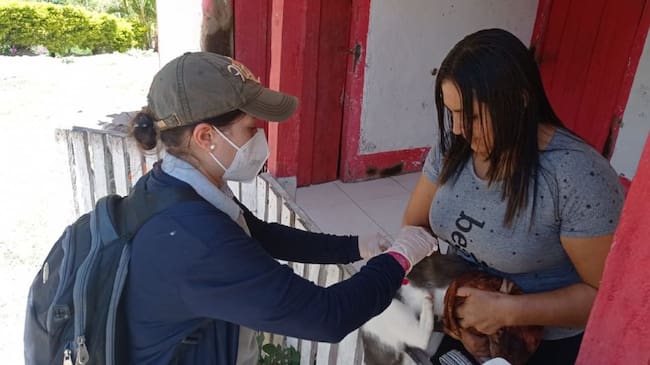 Autoridades de salud hacen seguimiento a casos de rabia humana.
