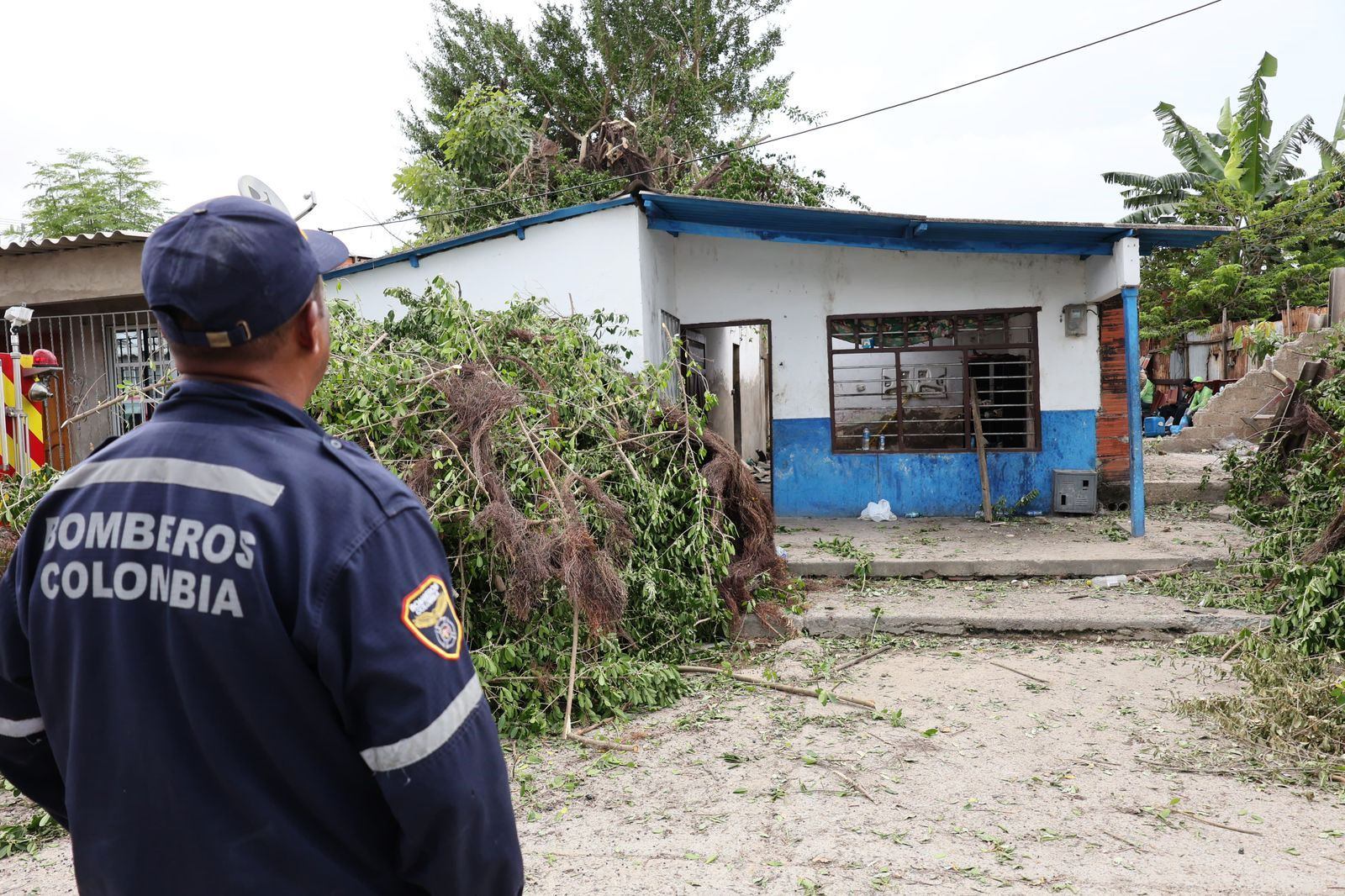 Familia resultó damnificada por caída de un árbol en el barrio La Esperanza
