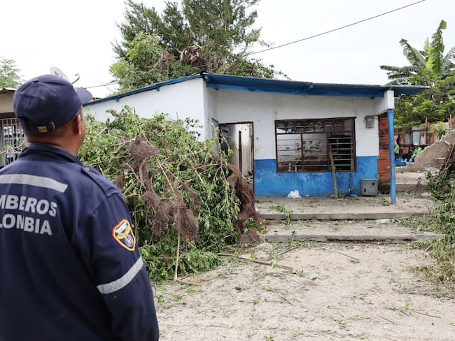 Familia resultó damnificada por caída de un árbol en el barrio La Esperanza
