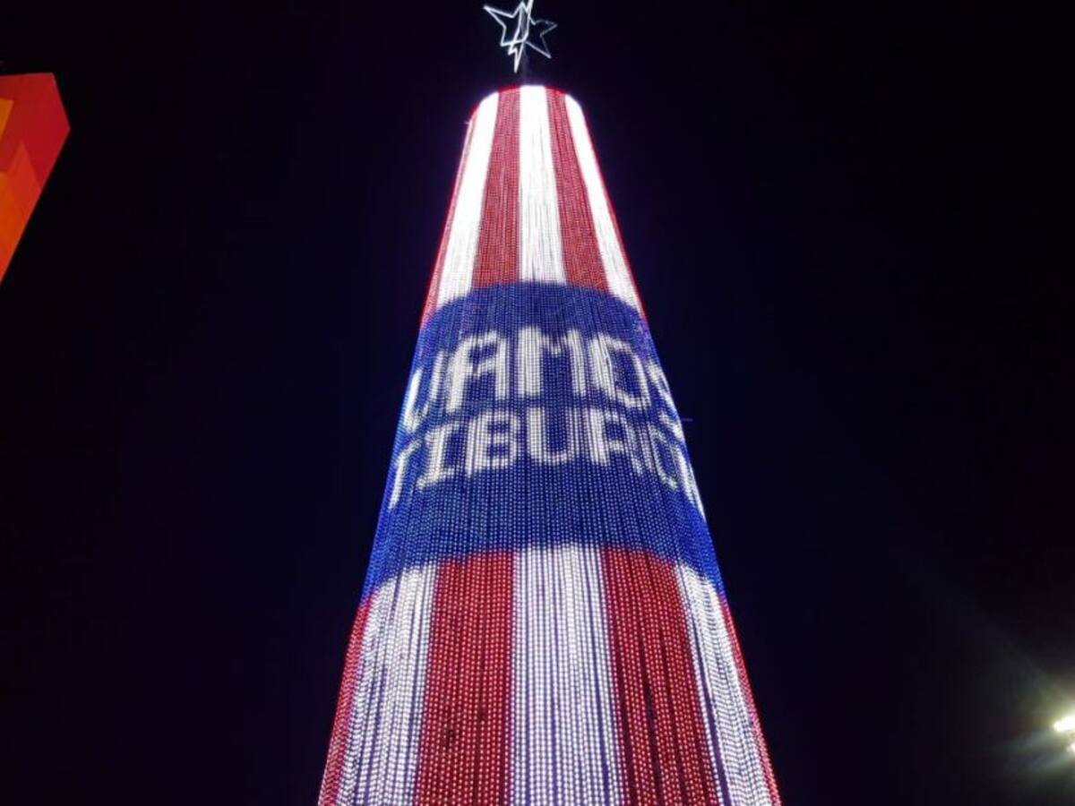 Árbol navideño proyectará final del Junior en Sudamericana