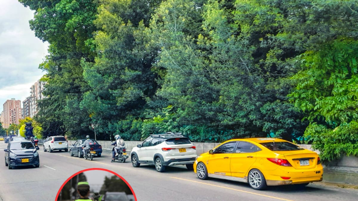 Pico y placa Pereira: ¡atención! Restricciones del lunes 16 al 20 de septiembre del 2024