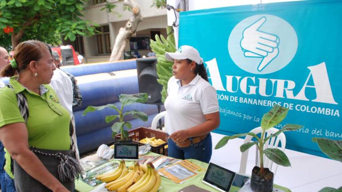 Corpamag realiza la Feria de Mercados Verdes con lo mejor del campo magdalenense