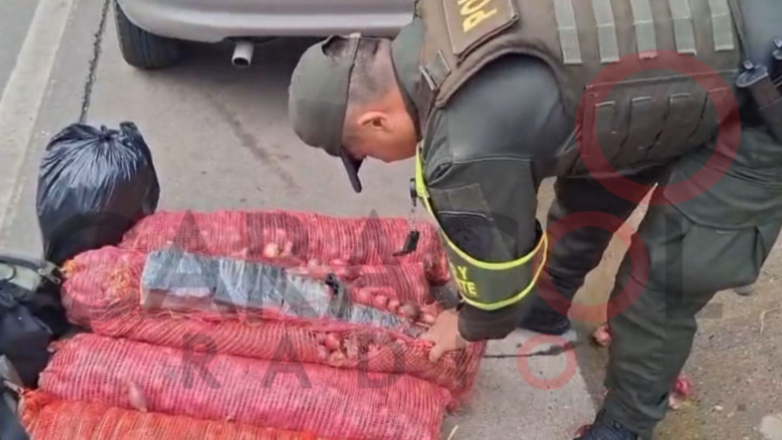 Incautan arsenal en bultos de cebolla. / Foto: Cortesía.