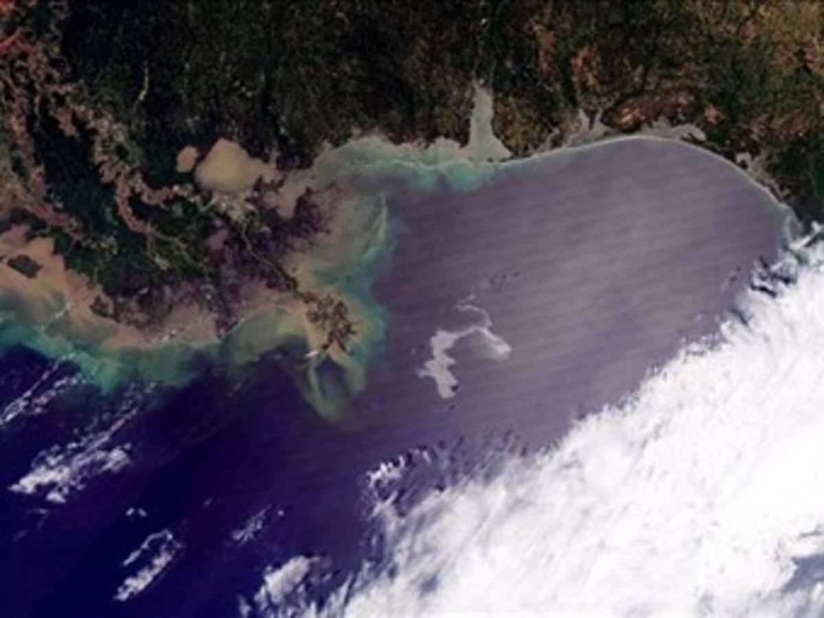 Petróleo vertido en Golfo de México amenaza costas de Luisiana, en EE.UU.