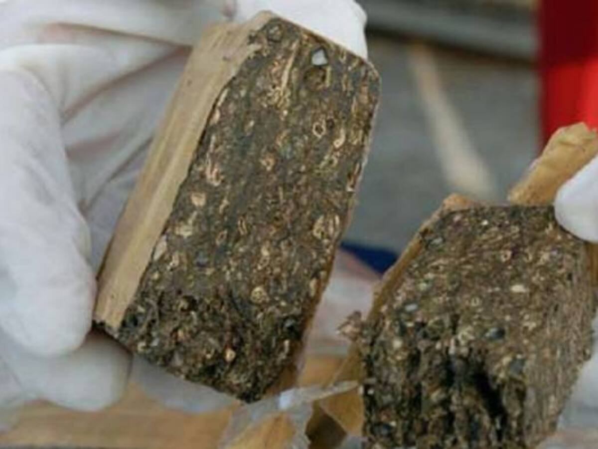 En máquina para hacer pan, iba marihuana rumbo a Chile