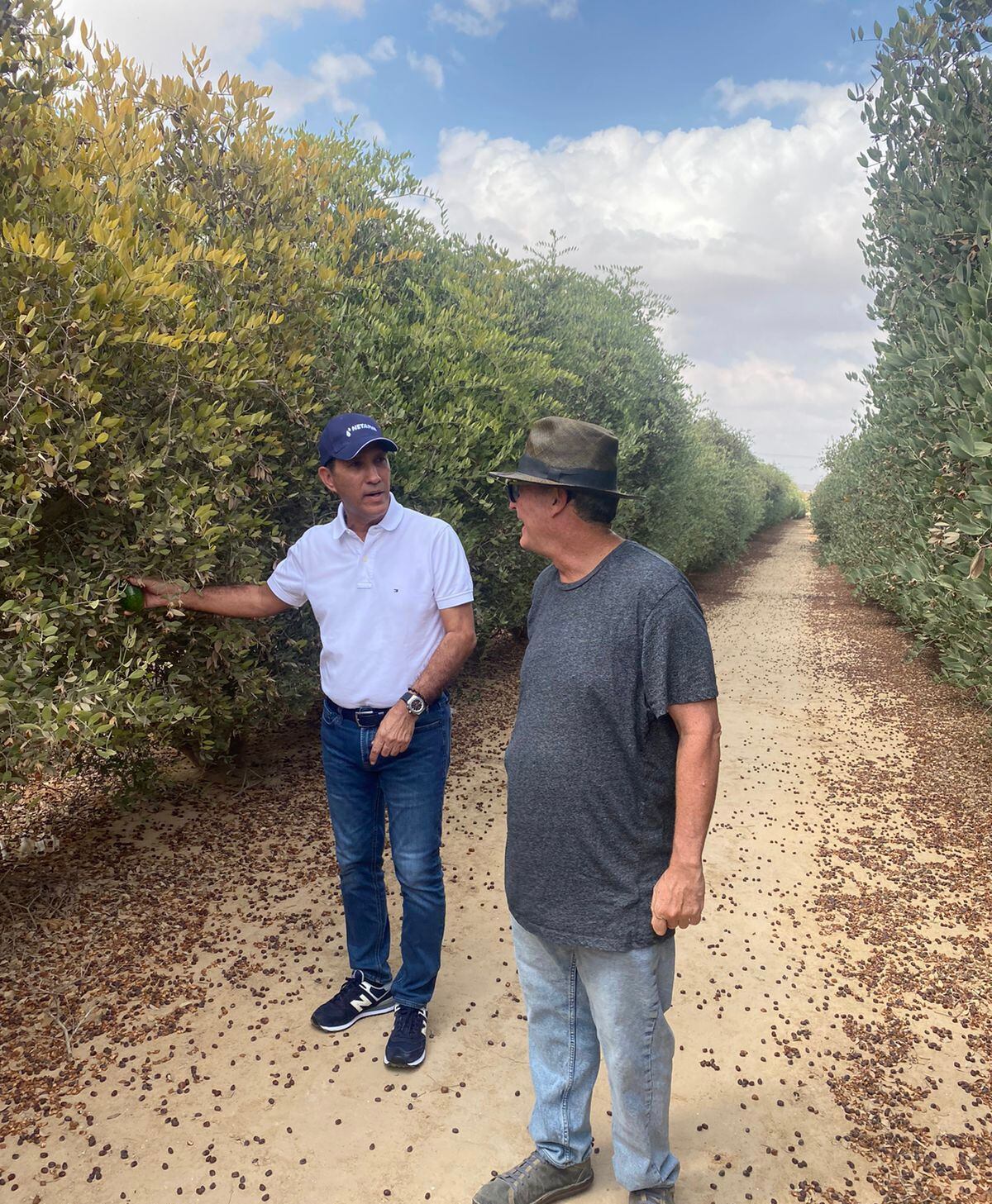 Visita del secretario de Desarrollo Económico del Atlántico, Luis Martínez, en Israel para la producción de cacao en el Atlántico./Gobernación del Atlántico