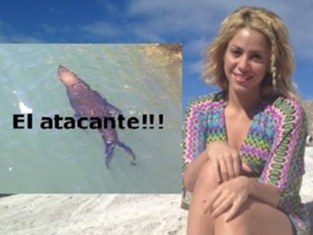 León marino ataca a Shakira en zoológico de Sudáfrica