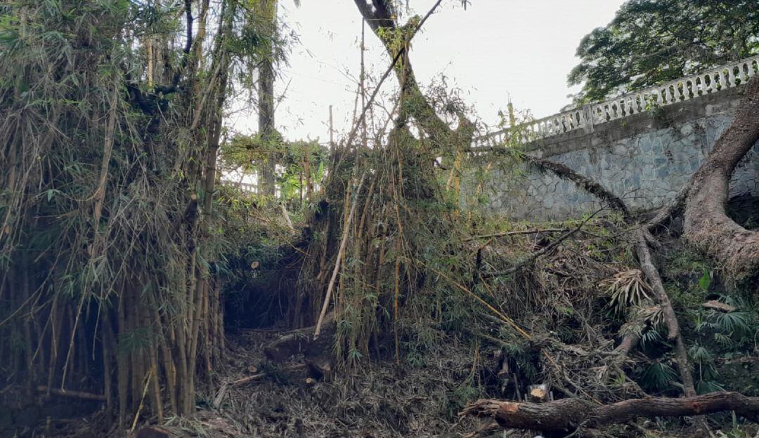 Parque Centenario Ibagué