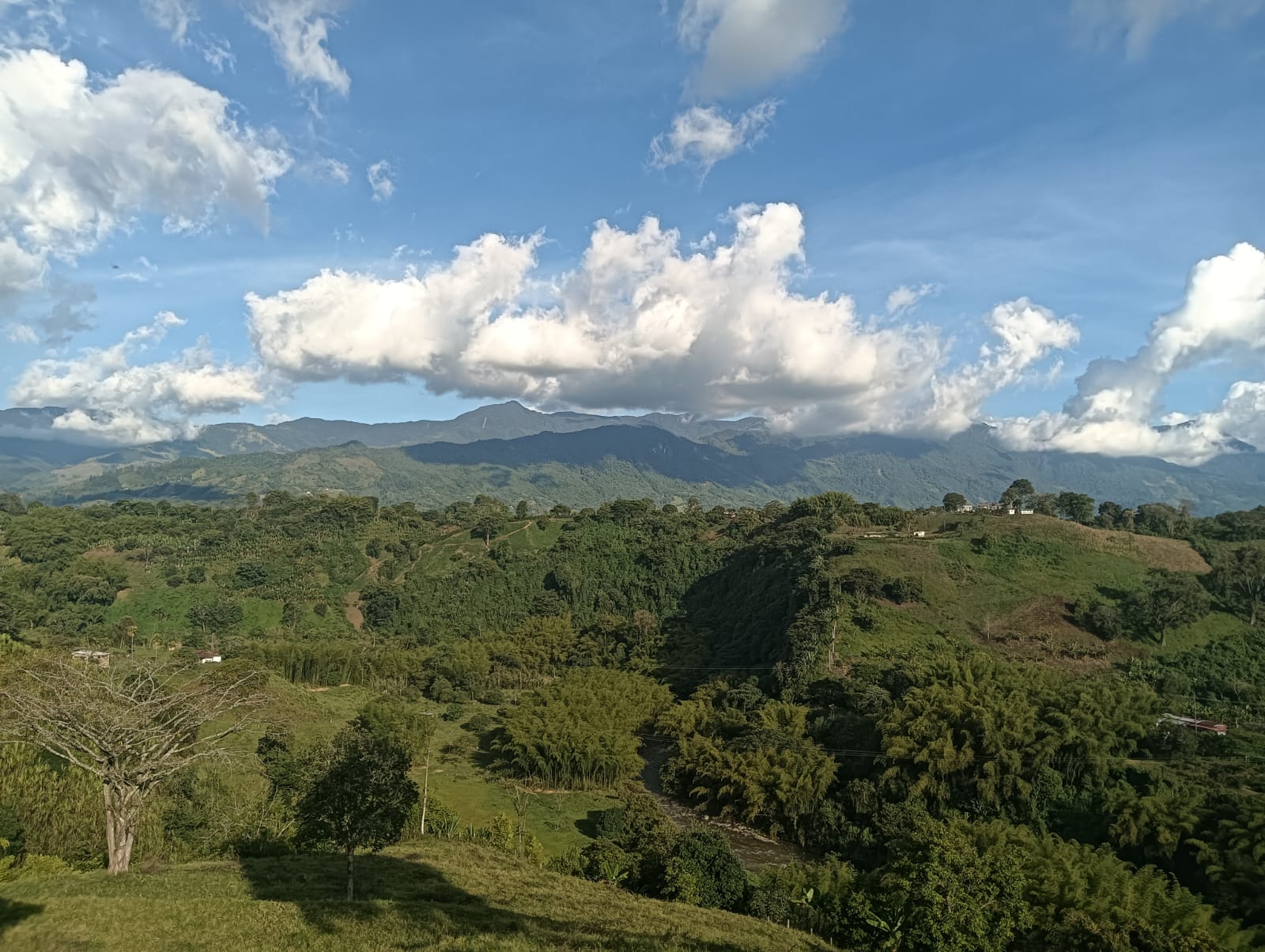 Hermoso atardecer en Armenia al fondo la cordillera central, los Andes del Quindío. Foto: Adrián Trejos