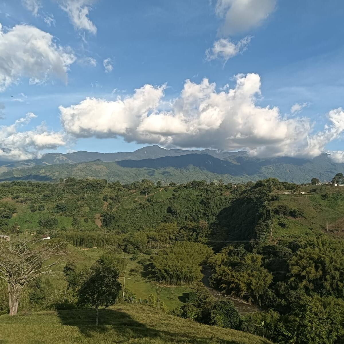 Jueves 7 de mayo, las noticias más importantes de Armenia y Quindío