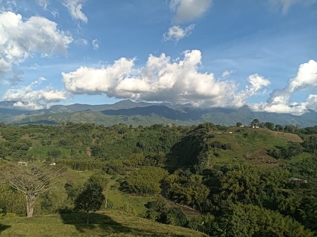Hermoso atardecer en Armenia al fondo la cordillera central, los Andes del Quindío. Foto: Adrián Trejos