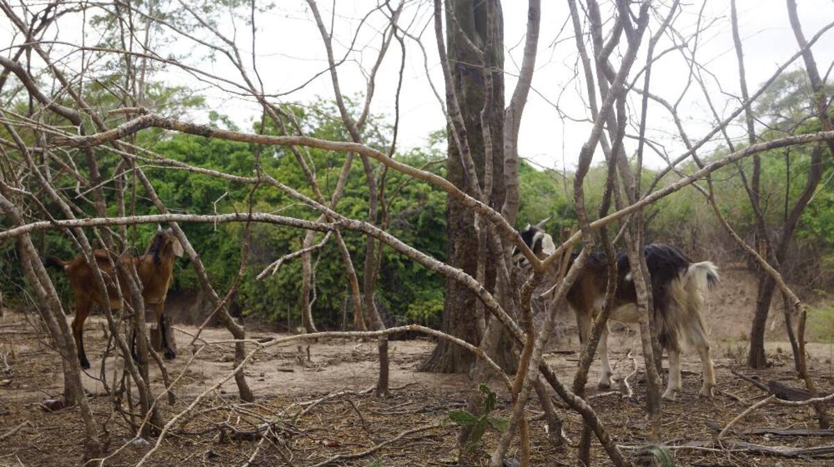 Recorrido de Caracol Radio por las zonas que aguantan sed. Fotos de Luis Enrique Rodríguez