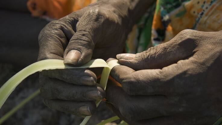 El 91% de los territorios indígenas están ecológicamente en buen estado de conservación