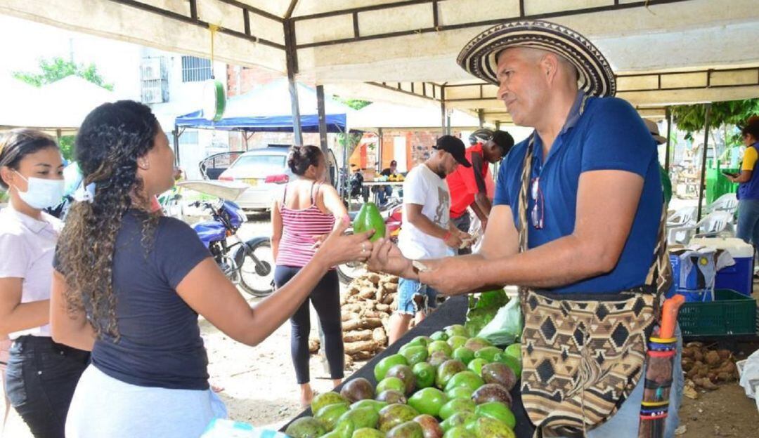 Alimentos del campo, frescos y económicos surtirán las canastas familiares de los residentes de ese sector de la ciudad y sus alrededores.
