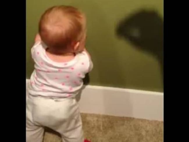 [Video] Bebé juega con una sombra y se vuelve viral en Facebook